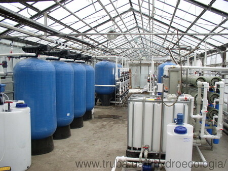 Змиевская овощная фабрика